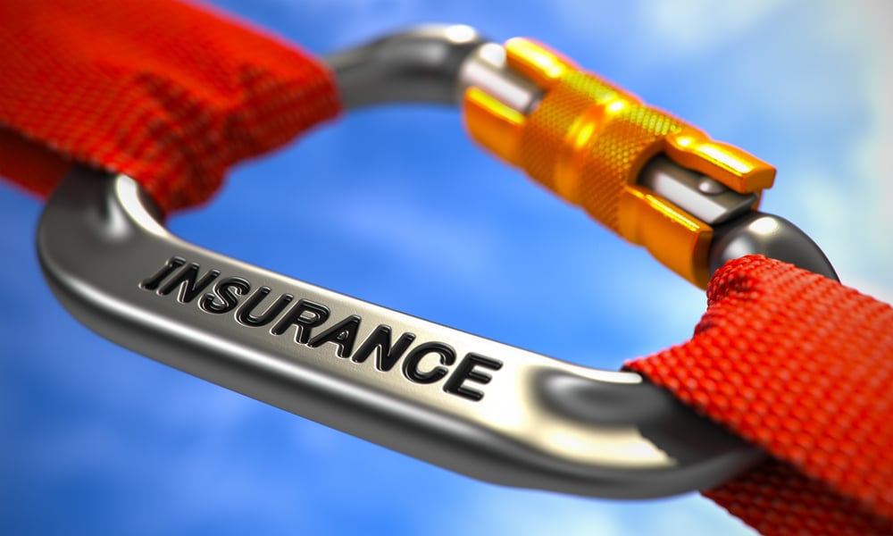 Understanding the National Association of Insurance Model Laws