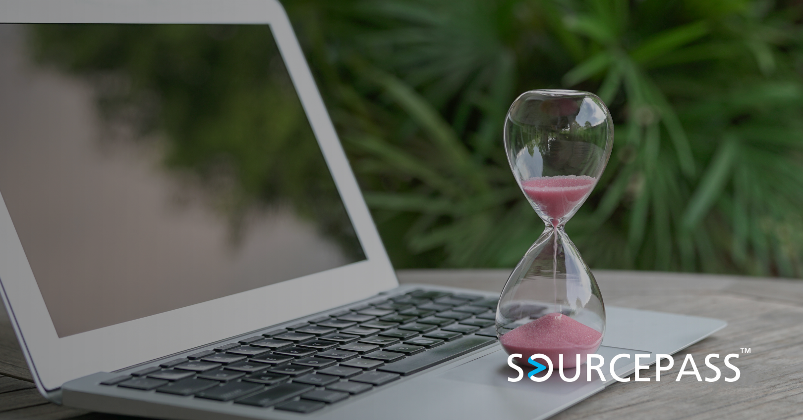Windows 11 Upgrades with Sourcepass